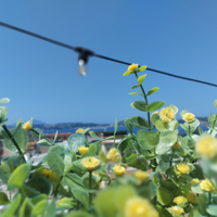 Mare e cielo da toccare con mano- Pozzuoli