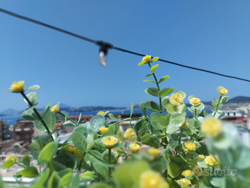 Mare e cielo da toccare con mano- Pozzuoli