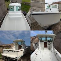 Imbarcazione Tuccoli Moby Dick T21 motore VM