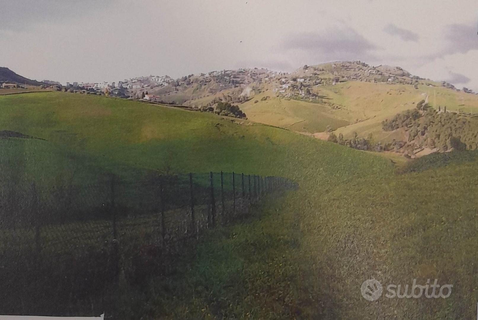 Rif.3650TG26080| terreno agricolo caltanissetta - Vista 2