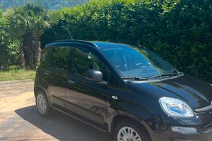 Fiat Panda hybrid