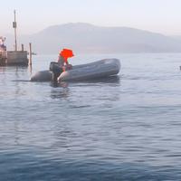 Gommone 4,6 m + motore fuoribordo yamaha 25 cv