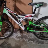 bici raggio 24