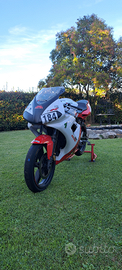 Tzr 50 pista