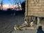 Immagine 6