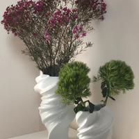 Coppia di vasi Rosenthal