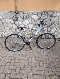 Mtb bicicletta Mountain bike