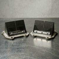 Pacco Lamellare Rs 125 Rotax