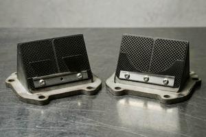 Pacco Lamellare Rs 125 Rotax