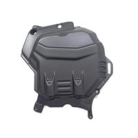 PARACALORE TESTATA CARBONIO MULTISTRADA V4S GRAND 