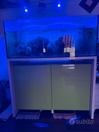 Acquario marino completo