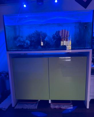 Acquario marino completo