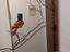 Immagine 3