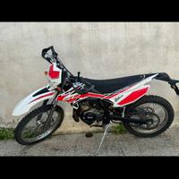 Moto beta RR 50