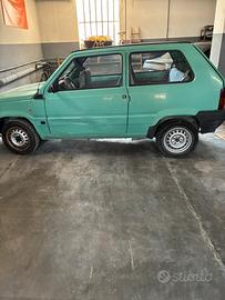 Panda 1100 IE young