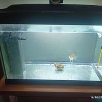 si vende acquario 
