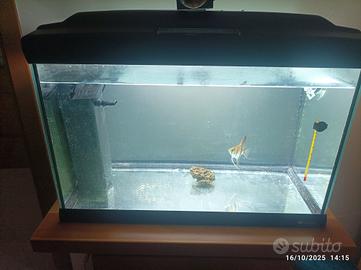 si vende acquario 