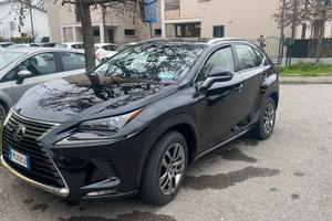 Lexus nx300h 4WD EXECUTIVE 