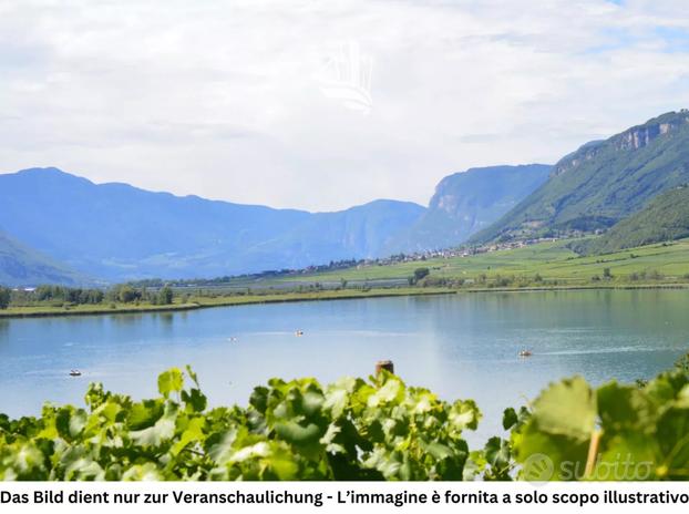 Caldaro: Vigneto con vista sul lago