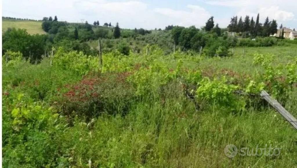 Immobile in asta di 21514 m² a Montespertoli - Vista 3