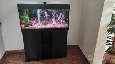Acquario Wave Classic 100