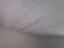 Immagine 15