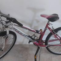 Bicicletta