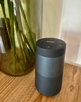 Bose sound link Revolve