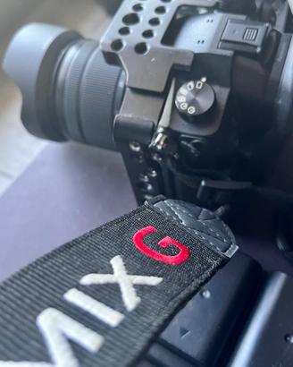 Lumix GH5 + GVario12-60mm + V- Log + EF-MViltrox2