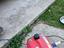 Immagine 4