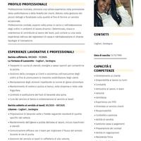 Banconiera, barista per stagione estiva