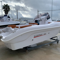 Albatros 606 Walk Around