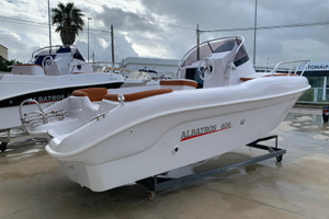 Albatros 606 Walk Around