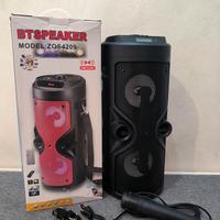 cassa bluetooth karaoke 