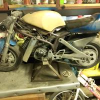 Minimoto POLINI 4.2 steal 