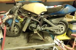 Minimoto POLINI 4.2 steal 