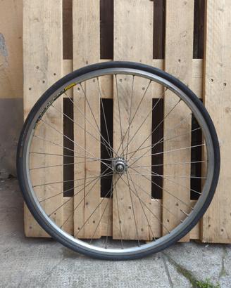 Ruota anteriore miche pista