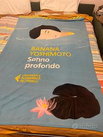 Plaid   Stampata copertina