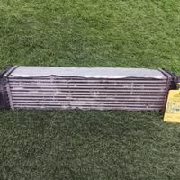 INTERCOOLER BMW X1 Serie (E84) 17517617598 Benzina