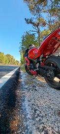 Daytona 600