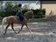Immagine 3