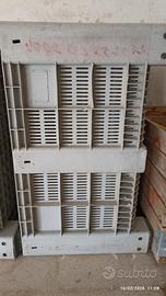 Cassoni per olive o altro 