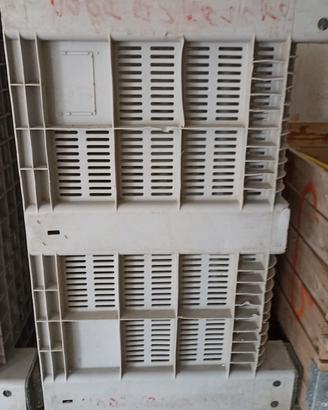 Cassoni per olive o altro 