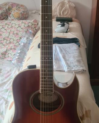 Chitarra elettrificata marca Vantage