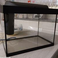 Acquario tetra starter