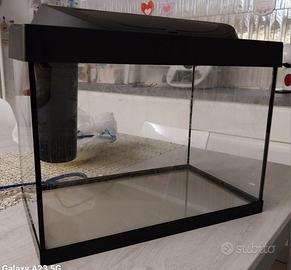 Acquario tetra starter