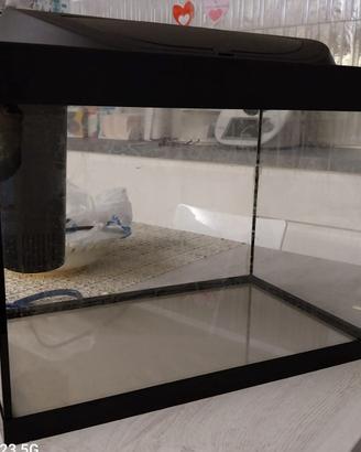 Acquario tetra starter