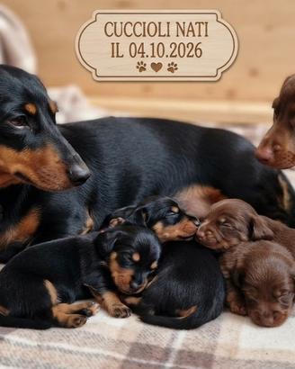 Bassotti cuccioli