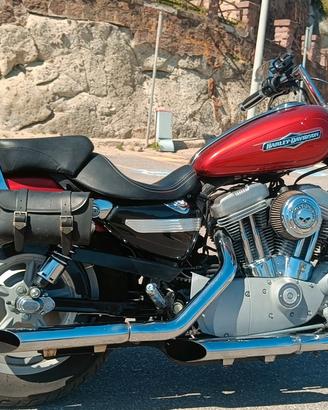 splendida Harley Davidson 883