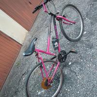 Mountain bike Bianchi